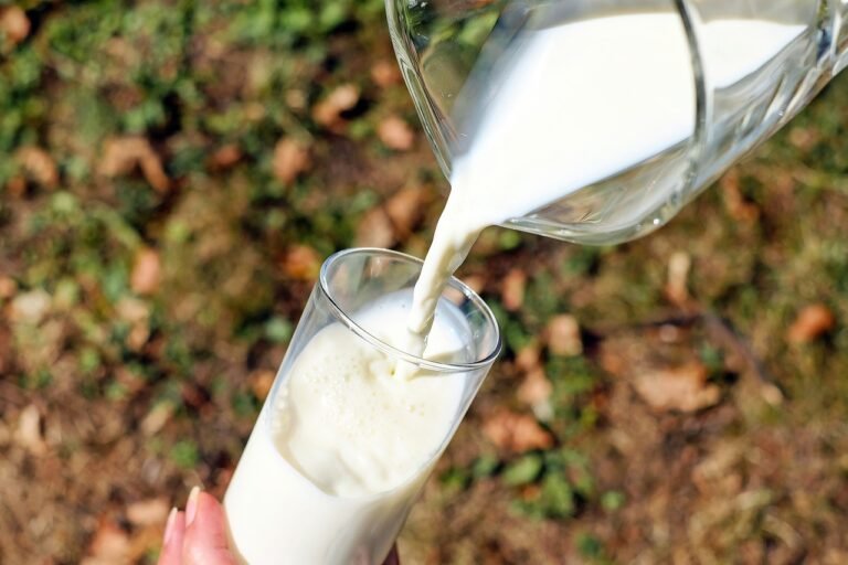 Does Drinking Milk Cause Weight Gain? Milk and Weight Gain: Myth or Reality